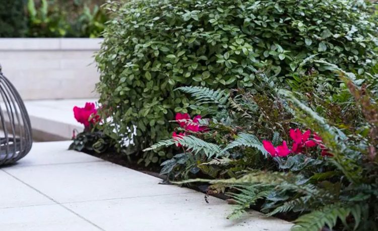 Exploring the real value of Landscaping in London