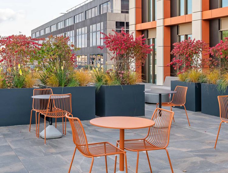 Terraces at Bloom Clerkenwell
